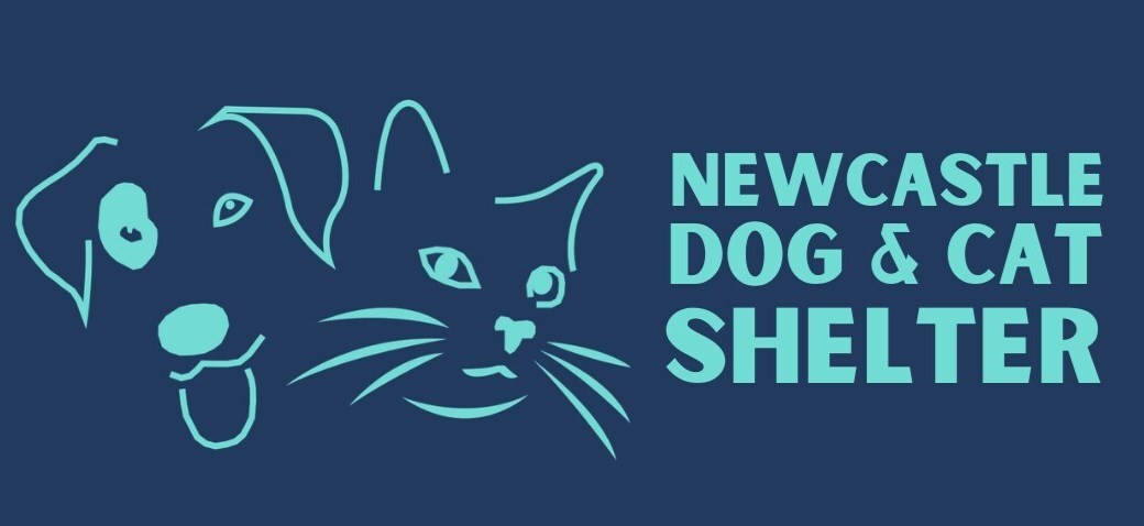 Newcastle Dog and Cat Shelter